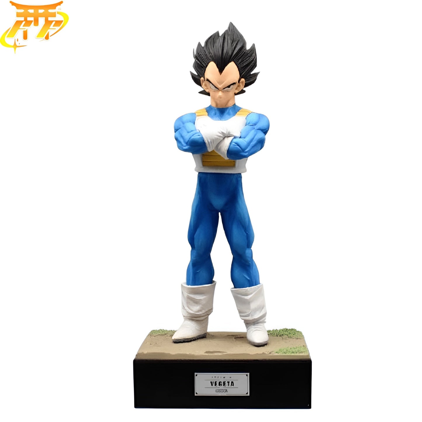 Prince Vegeta Figure - Dragon Ball Z™