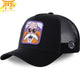 Genial Turtle Cap - Dragon Ball Z™