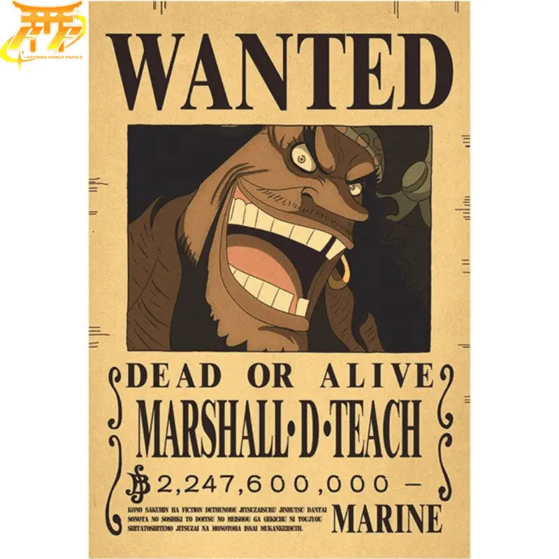 poster-wanted-barbe-noire-one-piece™