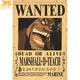 Poster Wanted Blackbeard - One Piece™