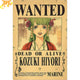 Poster Wanted Hiyori - One Piece™