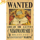 Poster Wanted Nekomamushi - One Piece™