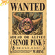 Poster Wanted Senor Pink - One Piece™