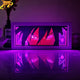 Sasuke Uchiha Rinnegan 3D LED Light - Naruto™