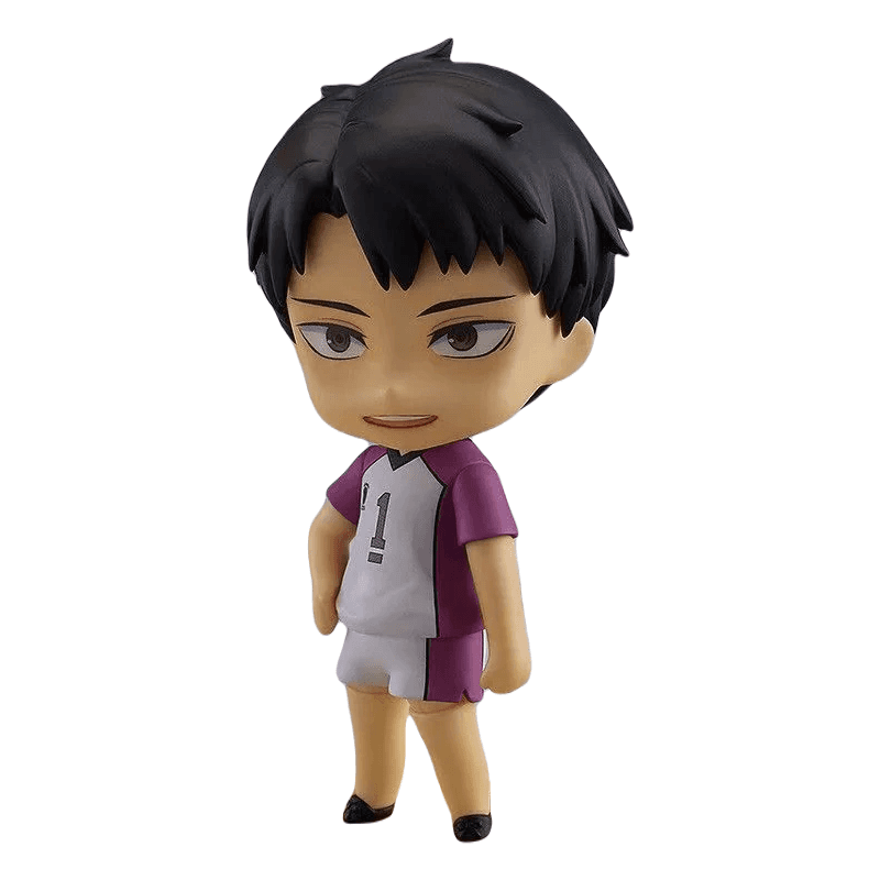 mini-figurine-ushijima-haikyuu™