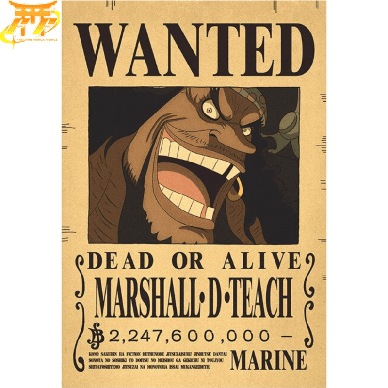 Poster Wanted Blackbeard- One Piece